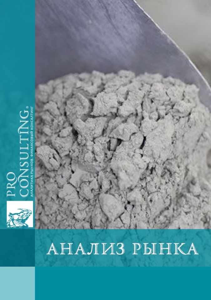 Анализ рынка бетона Украины и рынка цемента некоторых стран СНГ. 2019 год